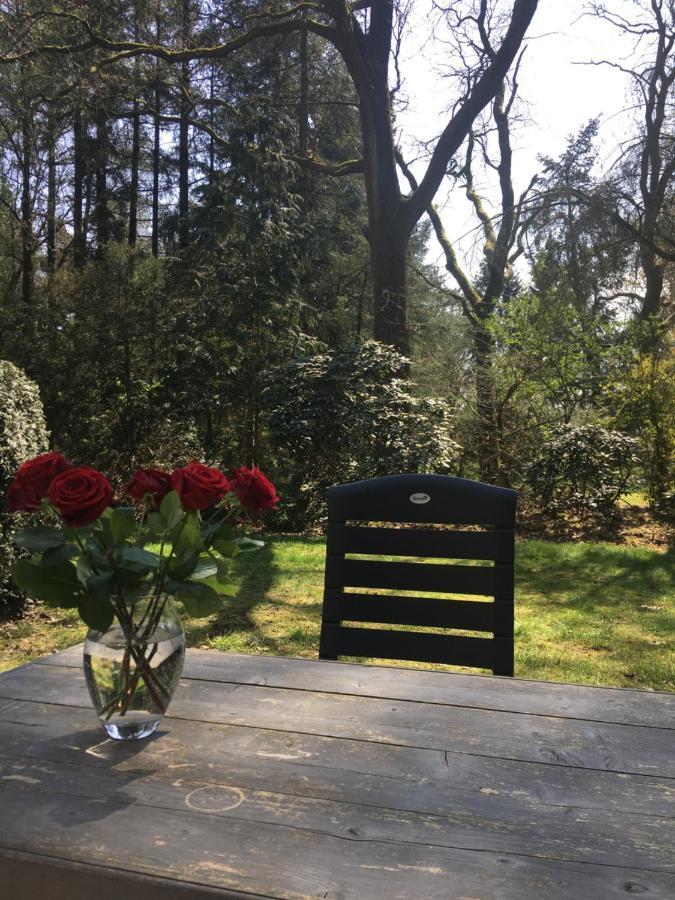 Geschakelde Bungalow Op De Veluwe "De Eekhoorn" Otterlo Eksteriør billede
