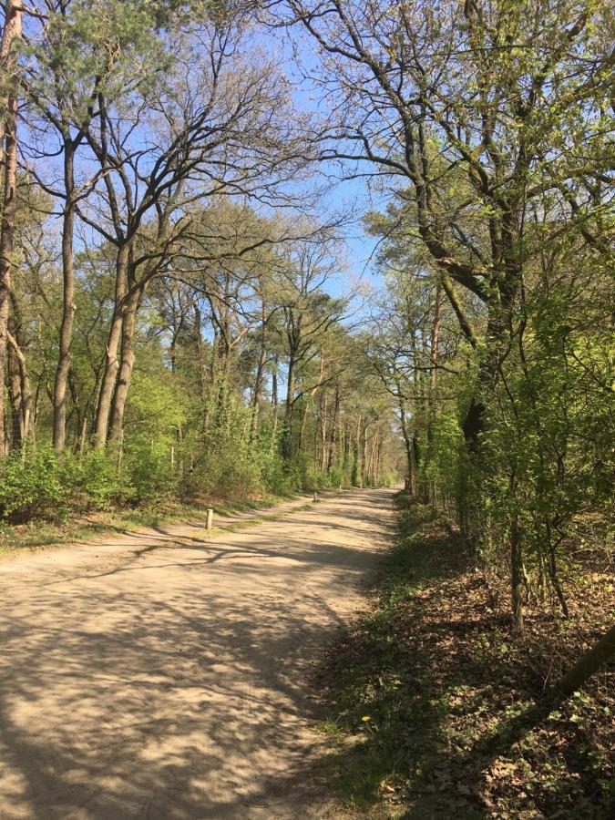 Geschakelde Bungalow Op De Veluwe "De Eekhoorn" Otterlo Eksteriør billede