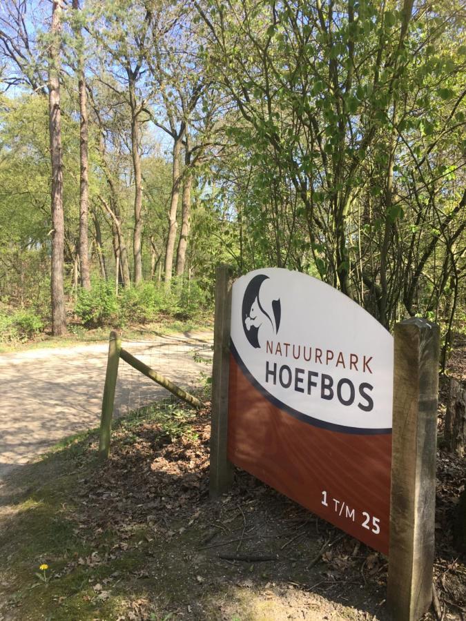 Geschakelde Bungalow Op De Veluwe "De Eekhoorn" Otterlo Eksteriør billede